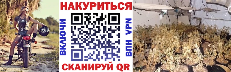 Сколько стоит Хвалынск СК  МАРИХУАНА  АМФЕТАМИН  Бутират  МЕФ  ГАШИШ 