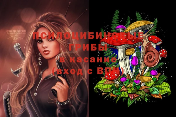 СК Алзамай