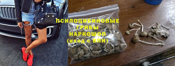 дмт Алексеевка
