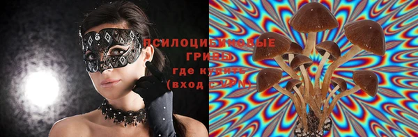 дмт Алексеевка