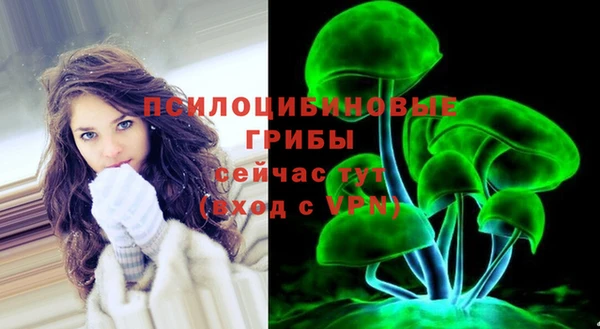 МДПВ Алексин