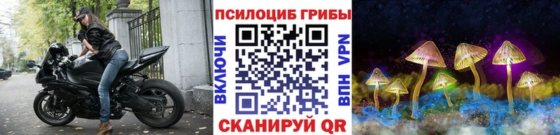 цены наркотик  Хвалынск  Псилоцибиновые грибы Psilocybine cubensis 